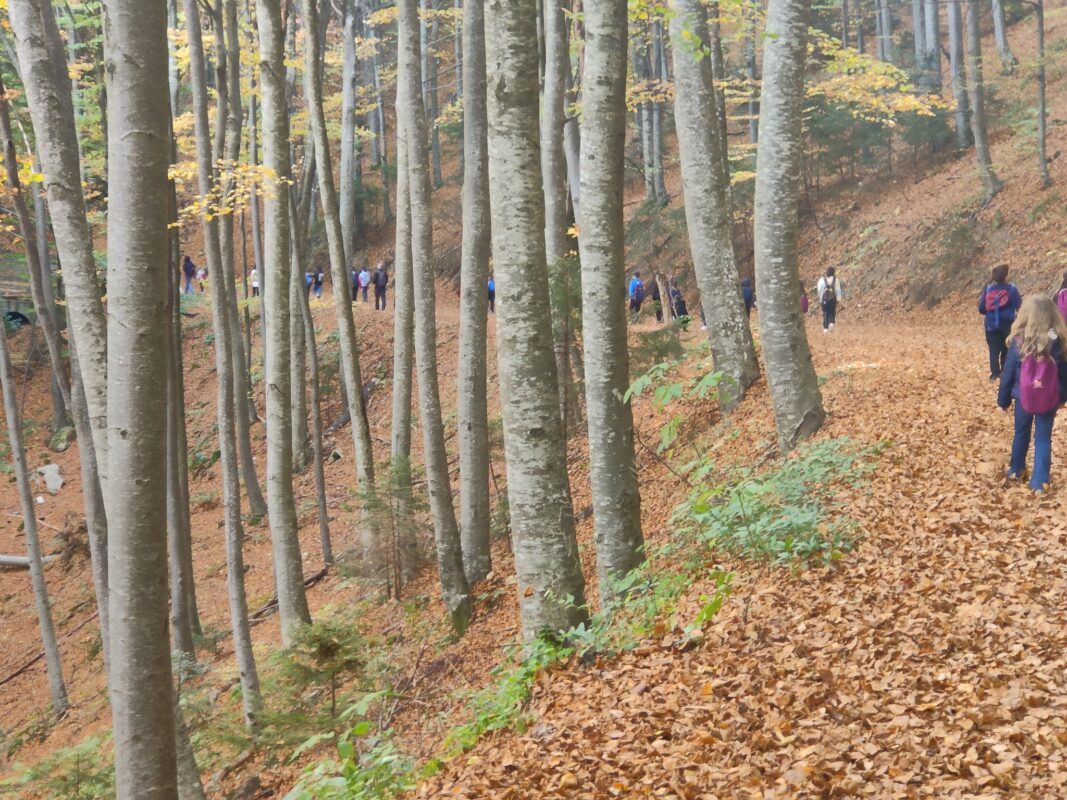 473599779_587431557231055_1938401649383331414_n