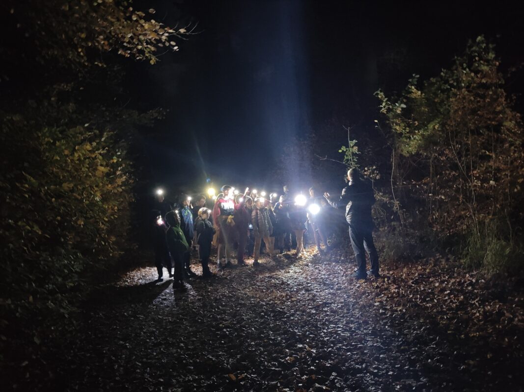 473600981_587431180564426_3286134080269764153_n