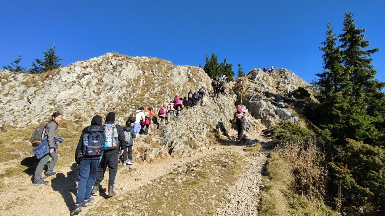 473604062_587431537231057_4368356495032562026_n