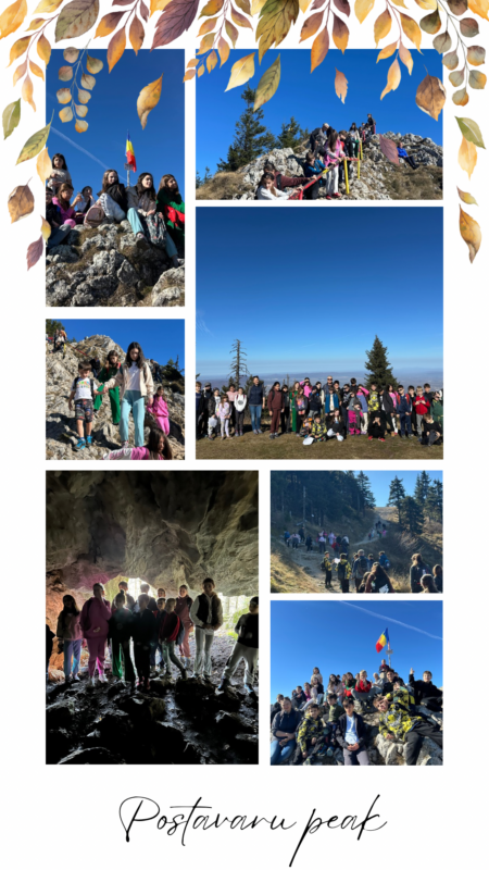 Brown Aesthetic Autumn Fall Photo Collage Instagram Story(2)