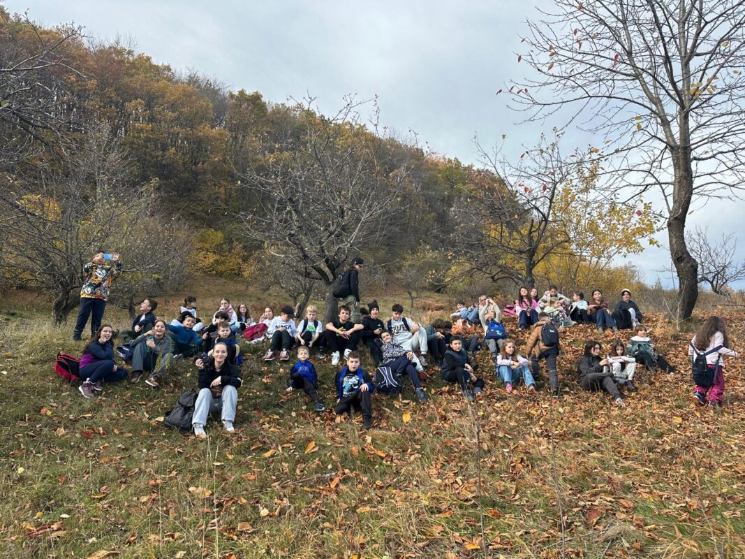 WhatsApp Image 2025-11-23 at 17.19.34